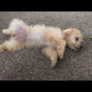 Meet your Posher, Raelyn